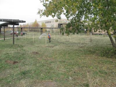 Микрорайоны Недостоево и Приокский Рязани озеленили 